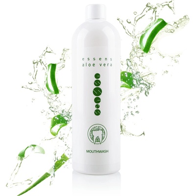 Essens S Aloe Vera-Meloun 500 ml