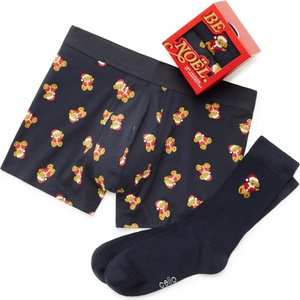 CELIO Xmiboteddy s