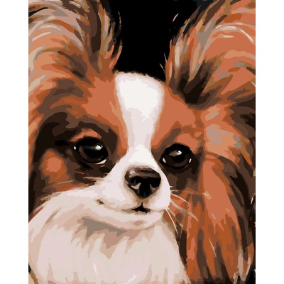 ZUTY Malování podle čísel PAPILLON MYROSLAVA VOLOSCHUK Rozměr 80 x 100 cm Rámování vypnuté plátno na rám