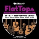 D'addario EFT13