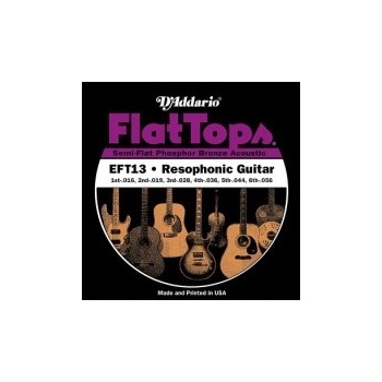 D'addario EFT13