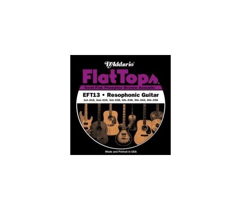 D'addario EFT13
