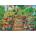EUROGRAPHICS - Puzzle Greenhouse Garden - 1 000 piese