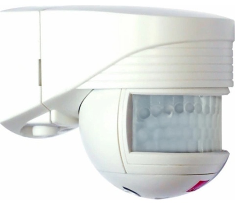 B.E.G. 91101
