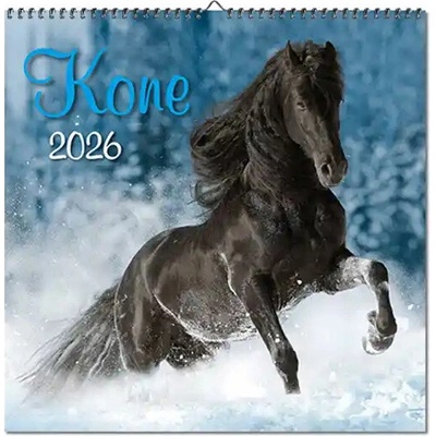 Koně nástěnný ERVÍN BURDA 2026