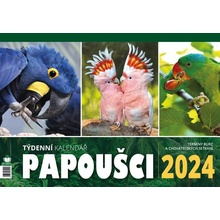 Papoušci týdenní stolní 2024