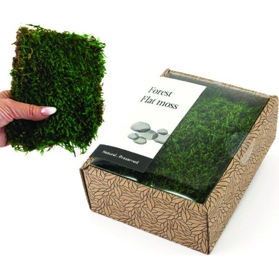 KreaBox - Plochý mach - Flat moss