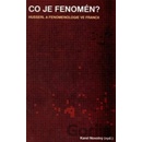 Co je fenomén?