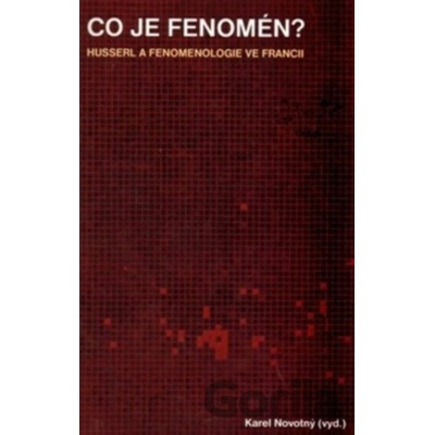 Co je fenomén?