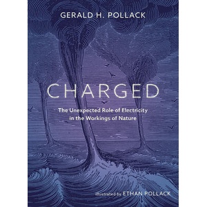 Charged | Ethan Pollack (ISBN: 9780988778900)