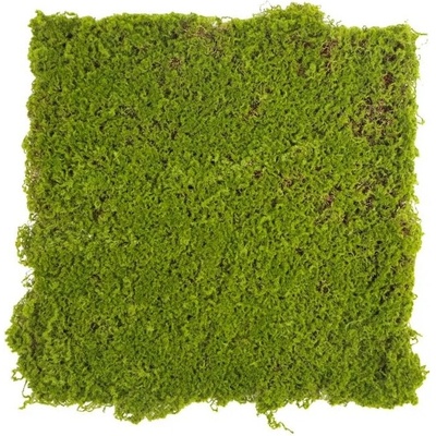 Moss gray crooked, dílec 50 x 50 cm