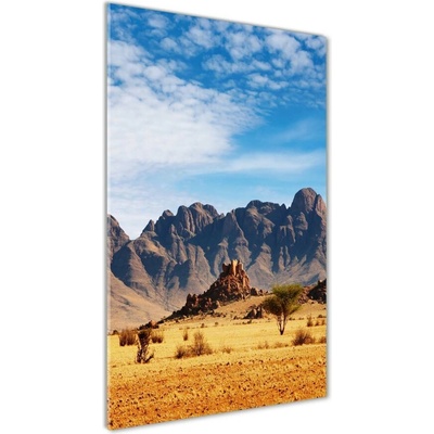 Vertikálny foto obraz sklenený Namibská púšť 50x100 cm