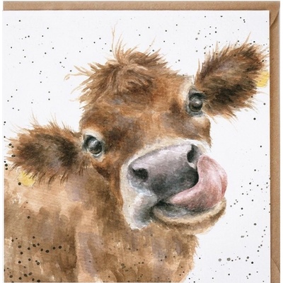 Přání Wrendale Designs "Mooooo", 15x15 cm - Kráva – Zbozi.Blesk.cz