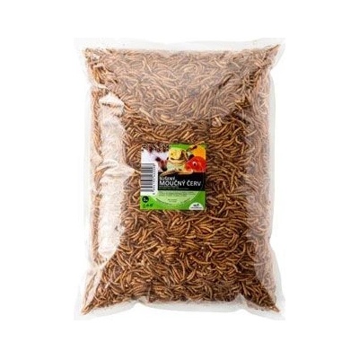 UGF sušený moučný červ 1 kg