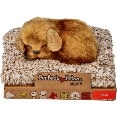 Perfect Petzzz Mini kríženec