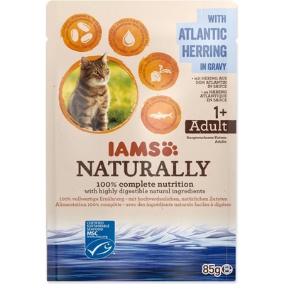 IAMS Cat Adult sleď v omáčke 85 g