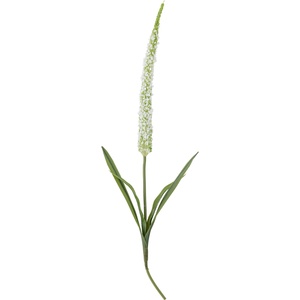 Bloomingville Изкуствено цвете Bloomingville пустинник бяло (82061511)