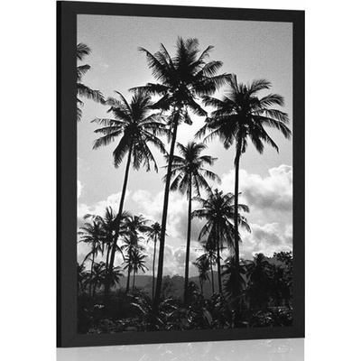 Plakát kokosové palmy na pláži v černobílém provedení - 20x30 black