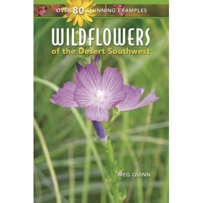 WILDFLOWERS OF THE DESERT SOUT | Meg Quinn