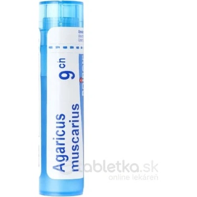 Agaricus Muscarius gra.1 x 4 g 9CH