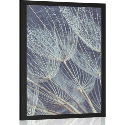 Plakát ranní rosa na pampelišce - 20x30 white