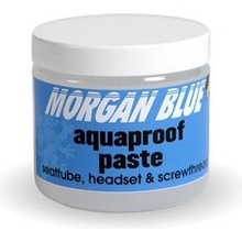 Morgan Blue Aquaproof paste 1000 ml