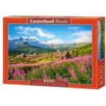 Castorland 1000 - piece puzzle Hala Gąsienicowa, Tatras, Poland