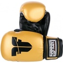 Fighter Basic