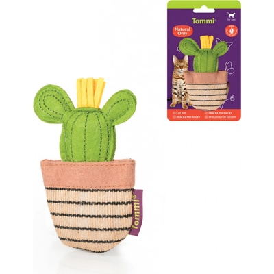 Natural Only kaktus 11cm