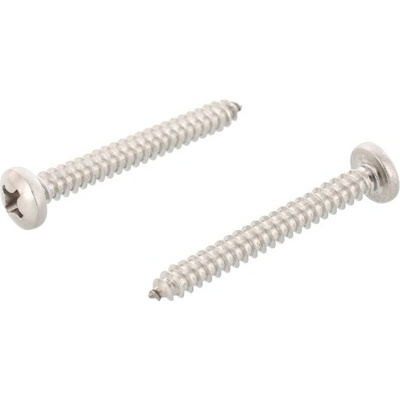 DIN 7981 A4 C 3,9X9,5 H