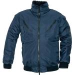 CERVA Pilot S 0301002240001