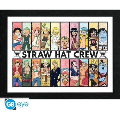Plakát v rámu - ONE PIECE Past & Present (30x40)