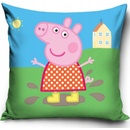 Carbotex Prasiatko Pepina V kaluži 40 x 40 cm