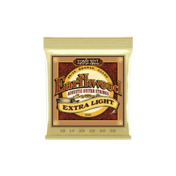 Ernie Ball 2006
