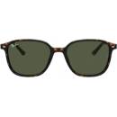 Image 1 of Ray-Ban Leonard RB2193 902/31