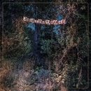 EYELIDS - ACCIDENTAL FALLS CD