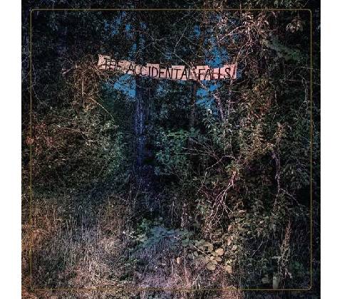 EYELIDS - ACCIDENTAL FALLS CD