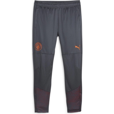 PUMA Manchester City Training Bottoms 2023 2024 Adults - Strong Grey