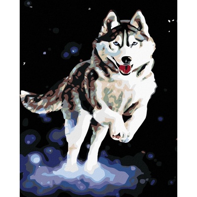 zuty Malování podle čísel Husky 80 x 100 cm bez rámu a bez vypnutí plátna 8596530046868