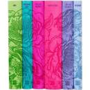 Jane Austen Boxed Set