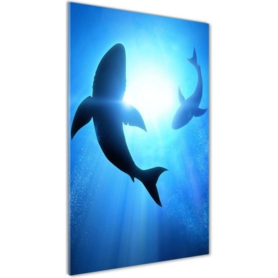 Vertikálny fotoobraz na skle Siluety žralokov 50x100 cm