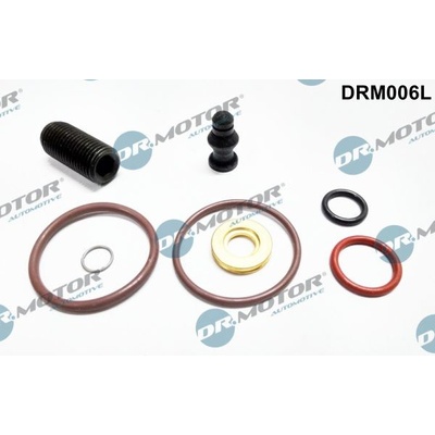Sada na opravy, jednotka trysky čerpadla Dr.Motor Automotive DRM006L