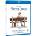 Forrest Gump BD