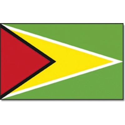 Vlajka Promex Guyana 150 x 90 cm