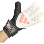 adidas Predator Training