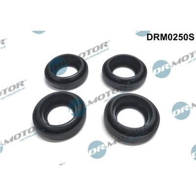 Tesneni, drzak trysky Dr.Motor Automotive DRM0250S