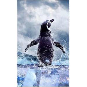 DIMEX ART Флизелинов фототапет пингвин 150 x 250 см