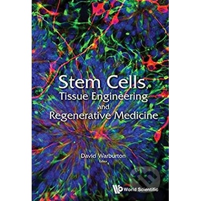 Stem Cells, Tissue Engineering and Regenerative Medicine Warburton David Univ Of Southern California Usa