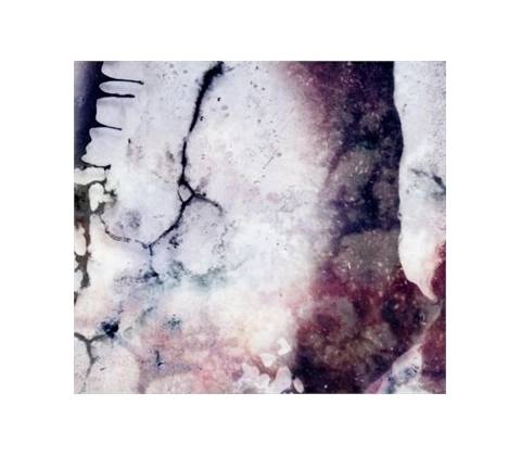 Outer Envelopes - Multicast Dynamics CD