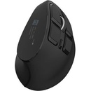 NATEC Euphonie Pro NMY-2291